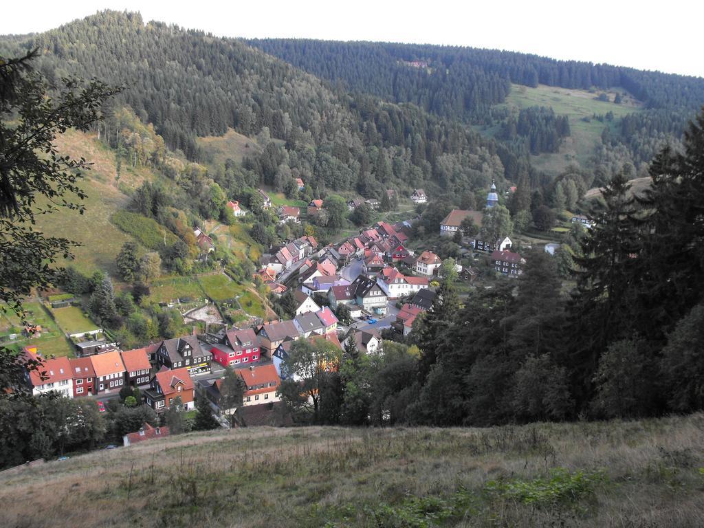 Ferienwohnung Sonnenhuegel Wildemann Exterior foto