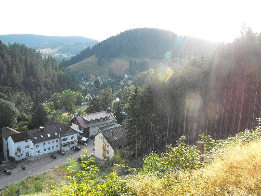Ferienwohnung Sonnenhuegel Wildemann Exterior foto