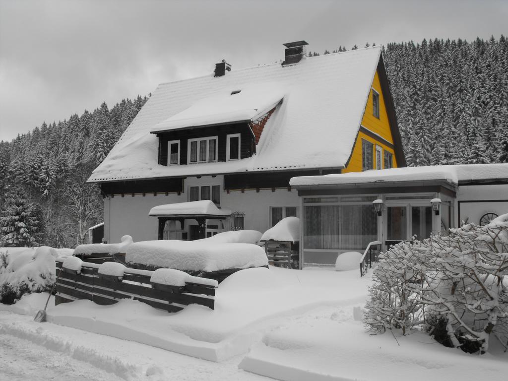 Ferienwohnung Sonnenhuegel Wildemann Exterior foto